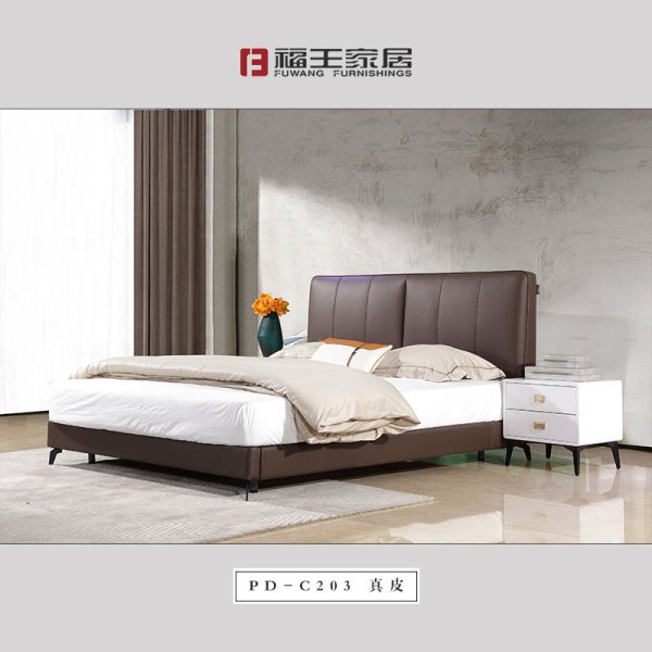 PD-C203真皮軟床