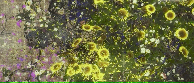 花2.gif