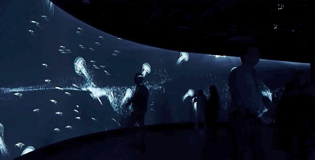 海2.gif