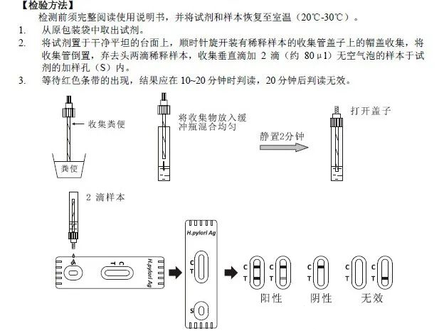 幽门螺旋杆菌.jpg