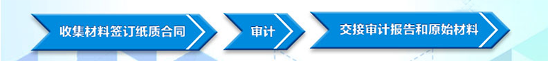 專項審計.png