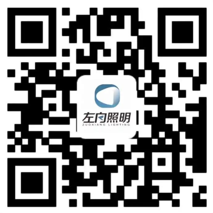 zx官网.webp