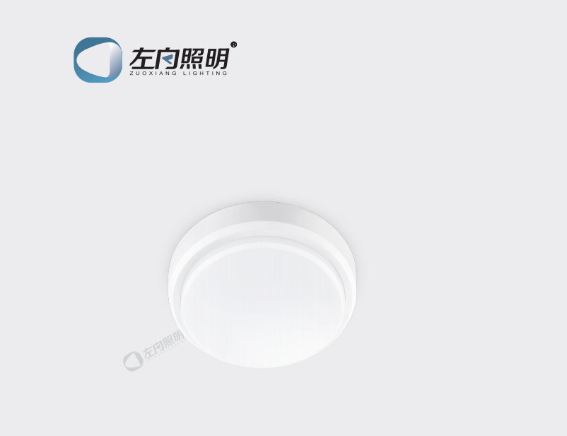 集中电源集中控制型消防应急照明灯具 ZX1211