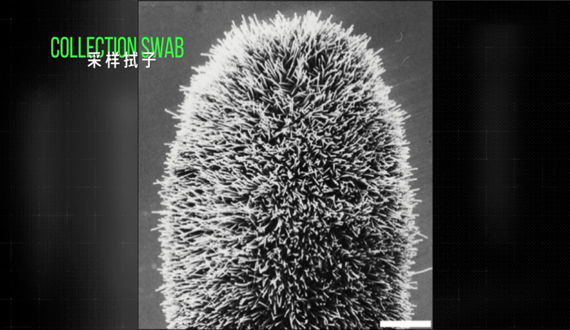 640-(1).jpg