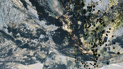 微信圖片_20230111222519.gif