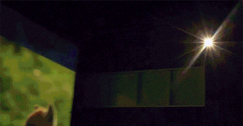 1.gif