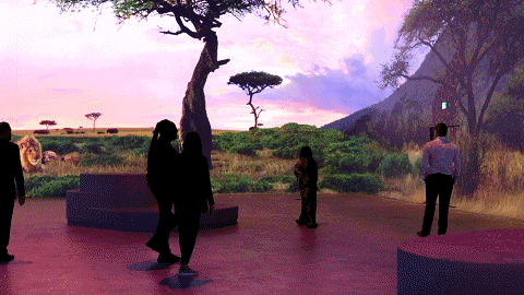 4.gif