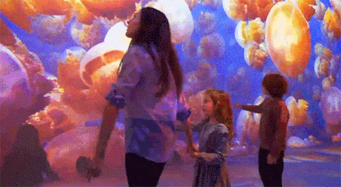 5.gif