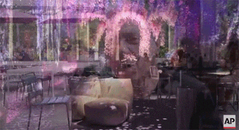 6.gif