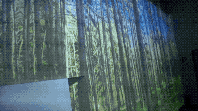44.gif