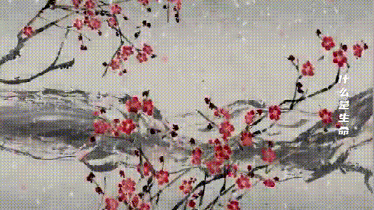 微信圖片_20230217103559.gif
