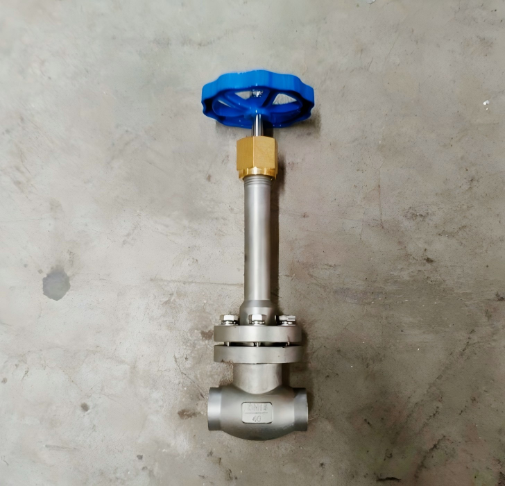 DZ11H、DZ11Y 150-800Lb锻钢低温闸阀