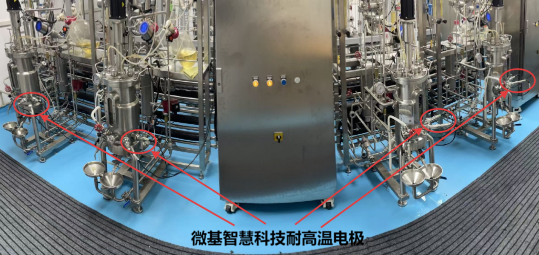 微基智慧科技 | 耐高温pH电极：为微生物发酵注入精准“洞察力”