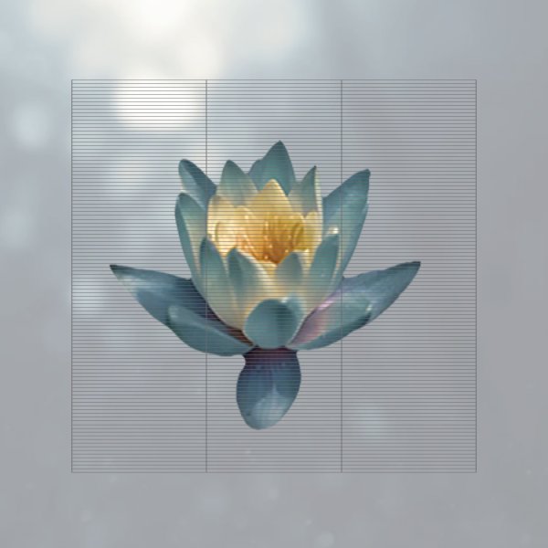 P2.61-5.2透明格栅屏