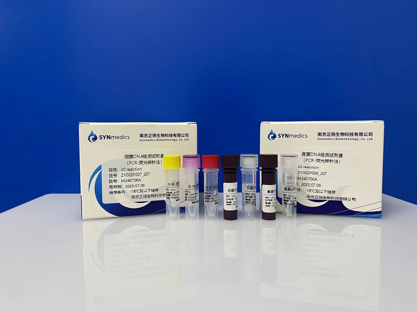 细菌 DNA 检测试剂盒（PCR-荧光探针法）