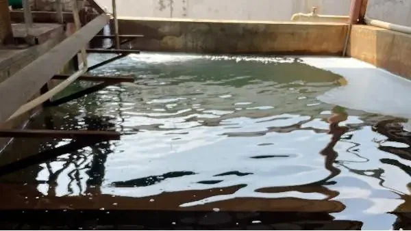 镍废水