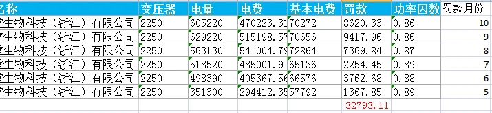 力调电费罚款原因诊断与解决方案-XXX生物科技（浙江）有限公司