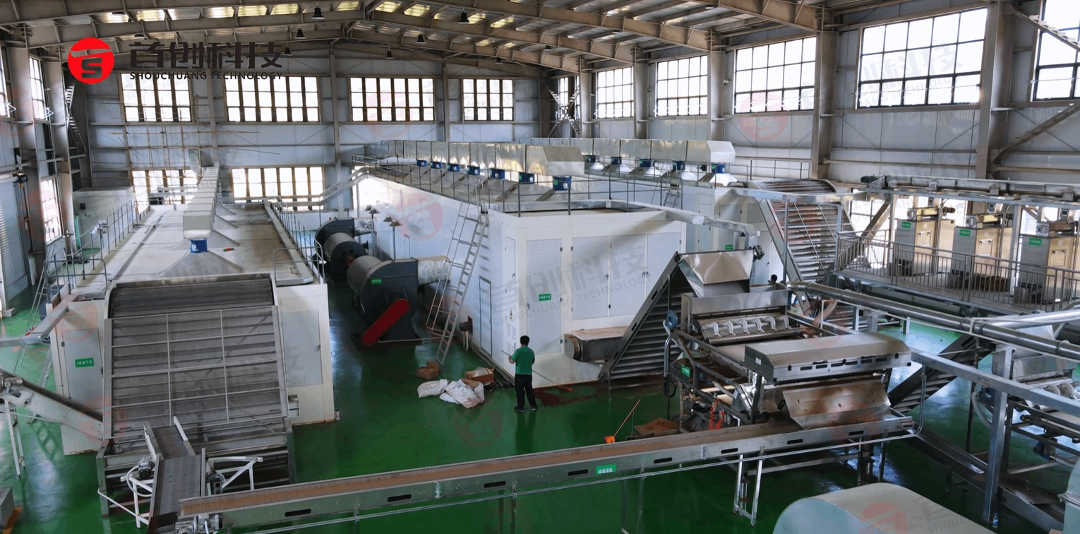 新鲜出炉！连续式油茶籽烘干生产线