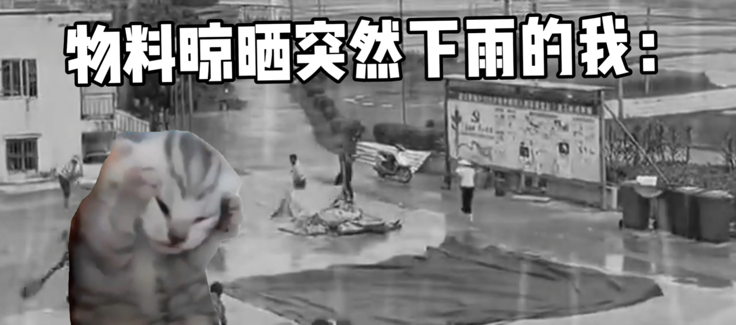 每次看到这种场面都很心酸，直到。。。