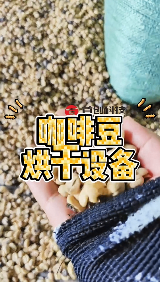 模拟风干，定色定型！网带式咖啡豆烘干机现场来了！