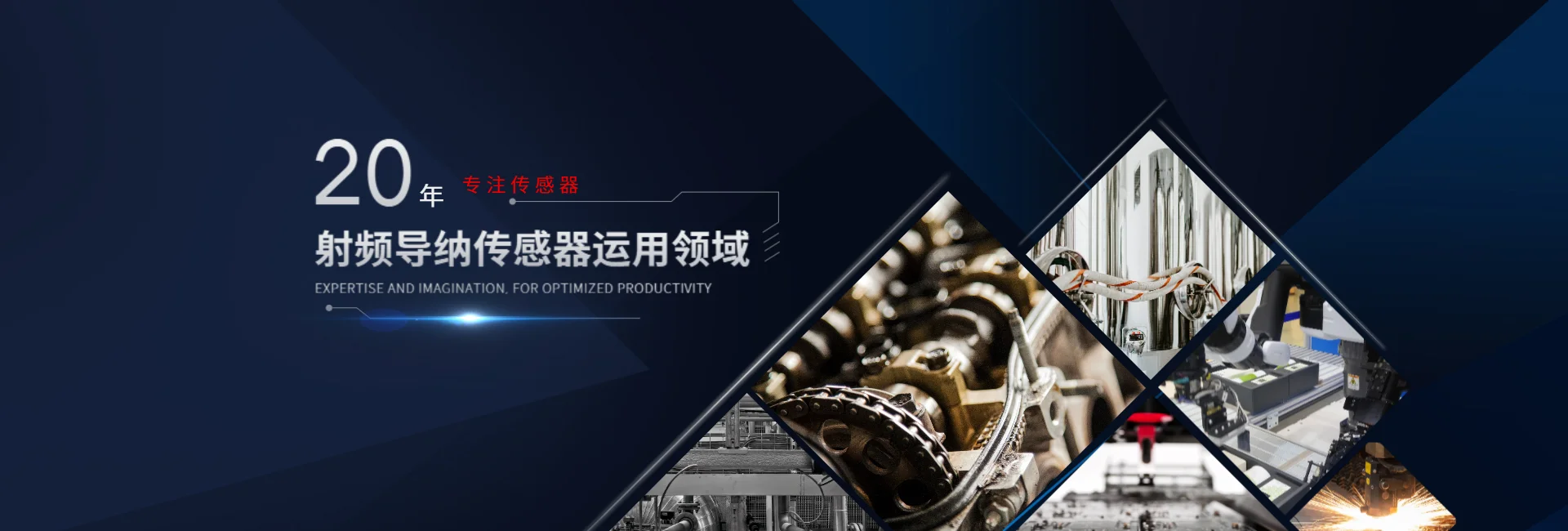 射频导纳传感器利用的范畴