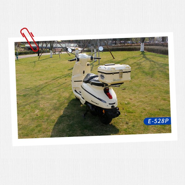 E-520P 标致姜戈150适用尾箱