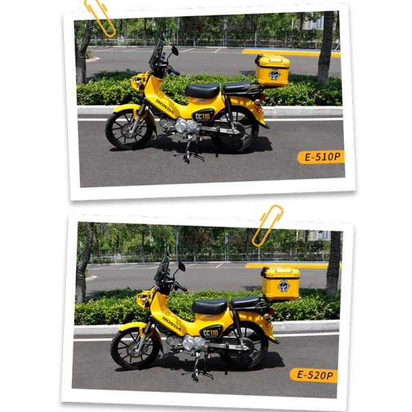 E-520P 本田幼兽适用尾箱
