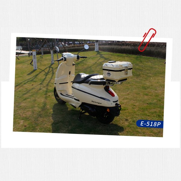 E-520P 标致姜戈150适用尾箱