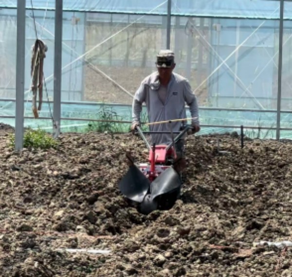 悅田——YT8-K30G開溝培土機、YTMC-140高密度精密蔬菜滅茬機在浙江平湖市應用案例
