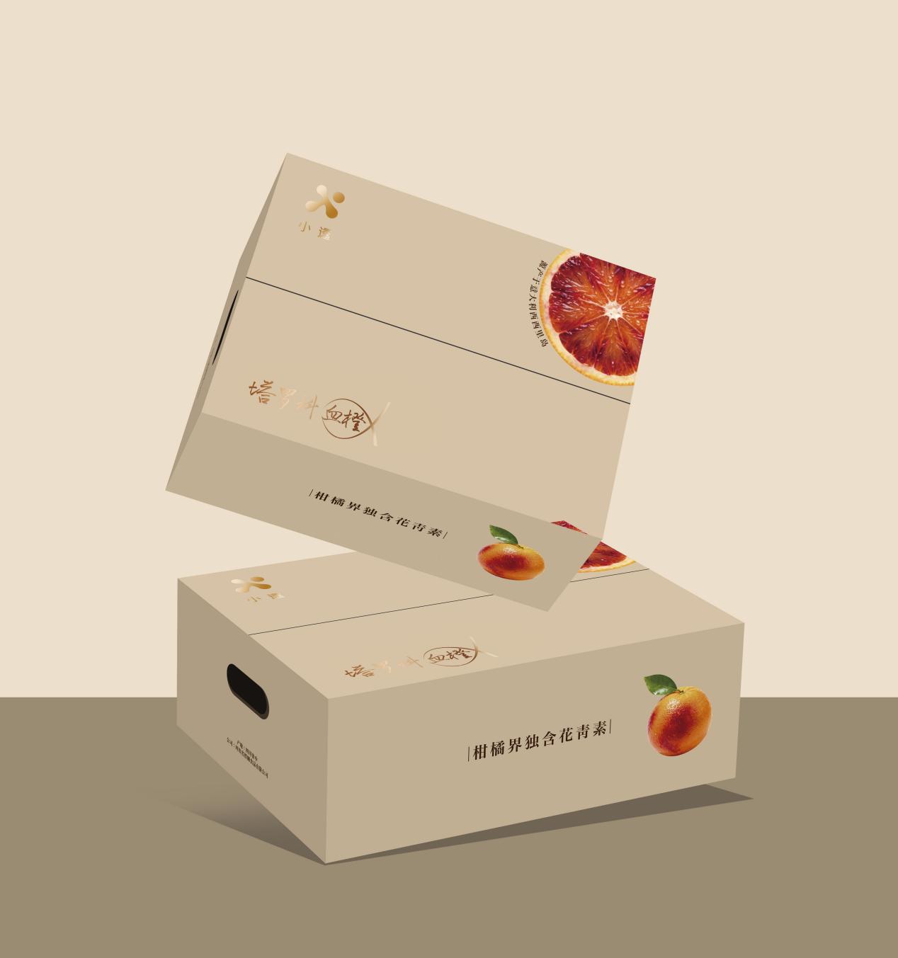 fe28af0ed8b45d0a4c9c48a88c284c7d