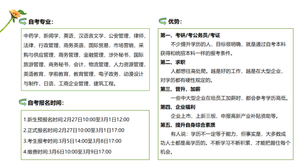 自学考试招生项目