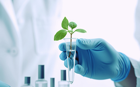 恒温箱的应用主要在哪些地方呢?