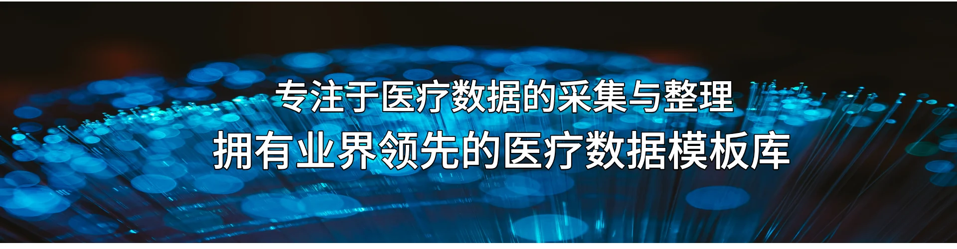 专注于医疗数据采集与整理，并拥有业界内领先的医疗数据资源库