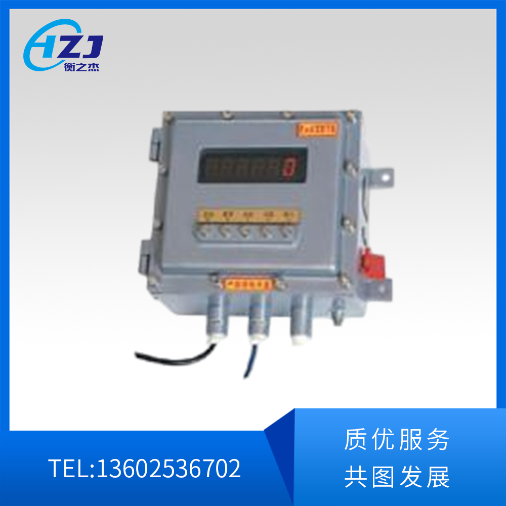 隔爆型称重仪表