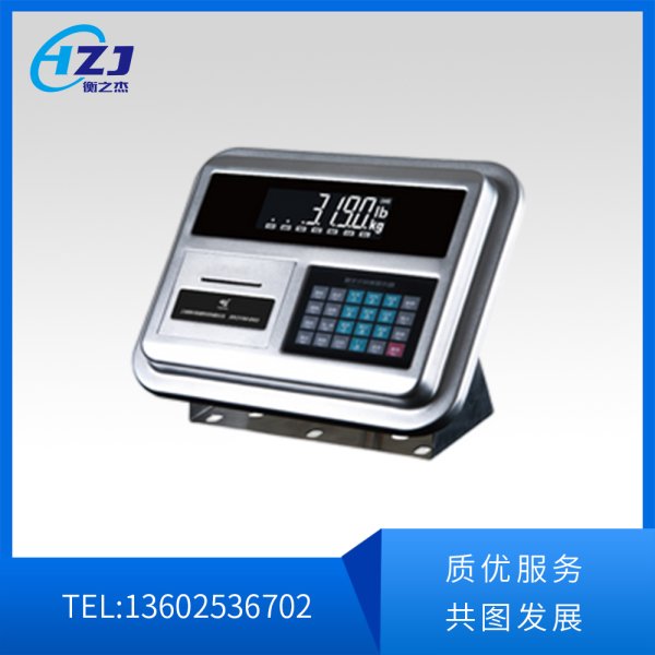 DS6数字式称重仪表