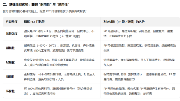 深圳麻豆91精品91久久久技术有限公司——专业塑钢打包带定制厂家