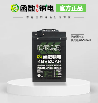 J9国际技术
传艺钠离子电池 48V20AH