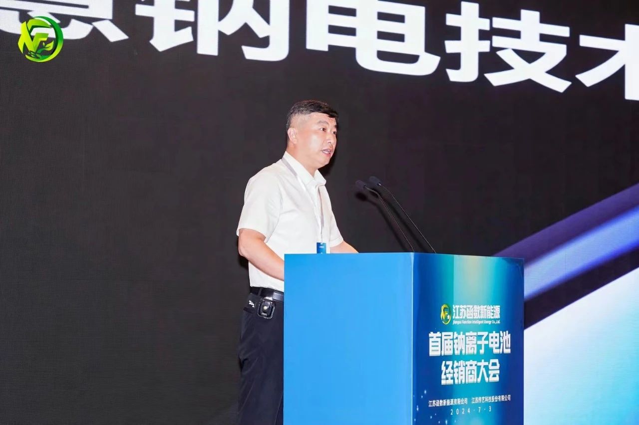 钠电池