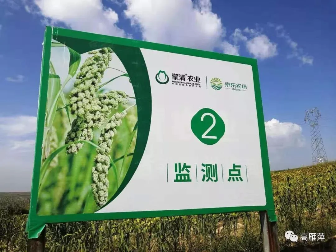 蒙清小香米—科學的思維經營，嚴謹的態度生產，前衛的思想探索，發展的眼光前行