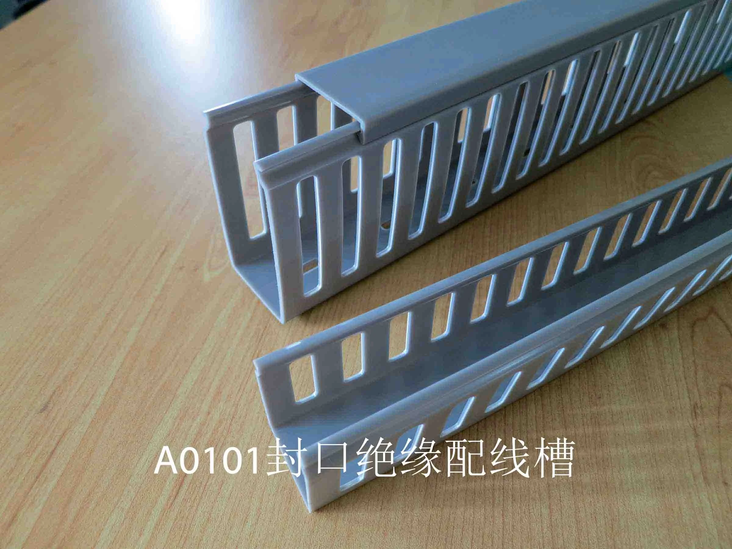 A0101.jpg