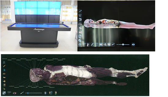 63FED61B7CBF1E8DED725B74325_95635AB4_423EB (1).png