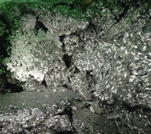 上海富祥,回收廢錫渣,過期錫膏,焊錫絲,錫條,錫塊