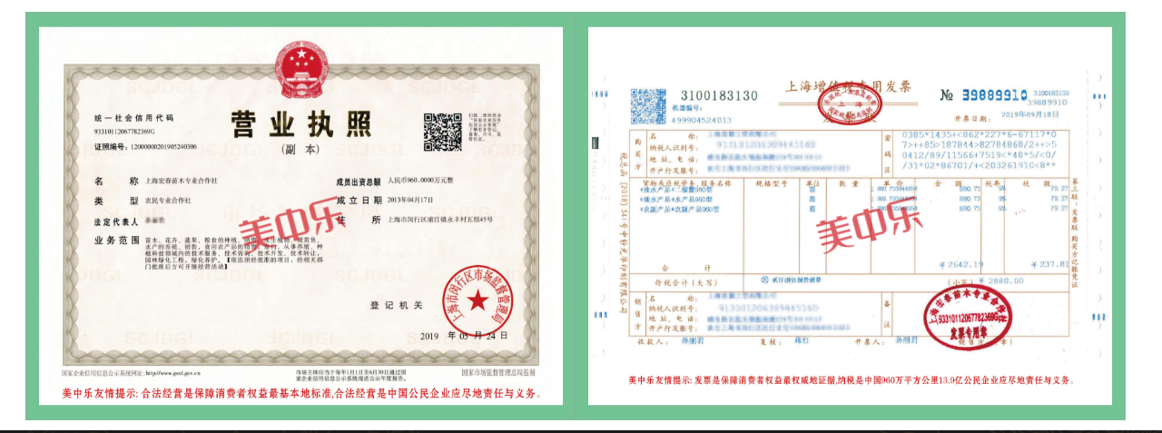 上海宏春苗木專業合作社（魚蝦蟹生態鏈）證照/上海增值稅發票樣本