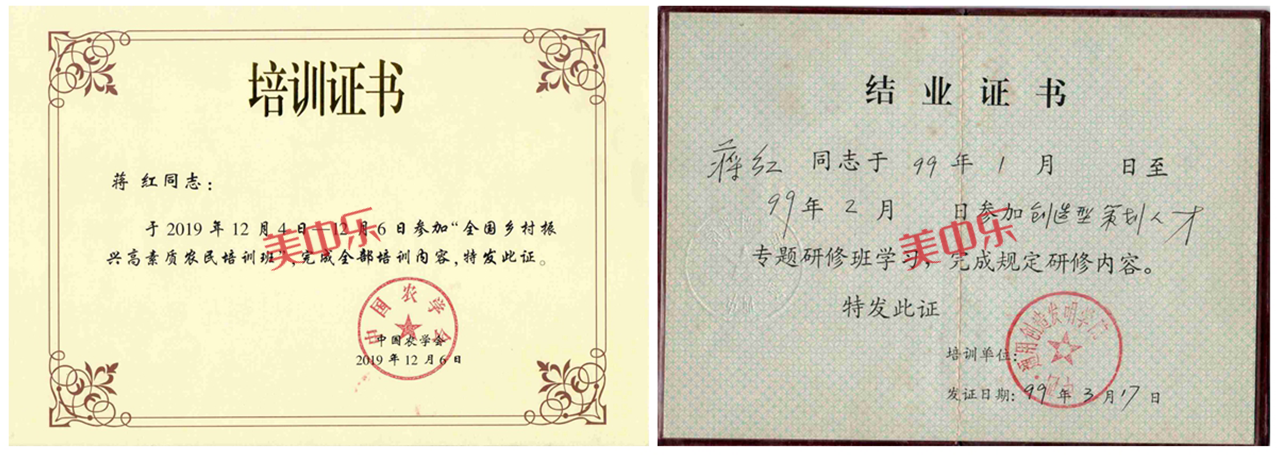 上海宏春苗木專業合社