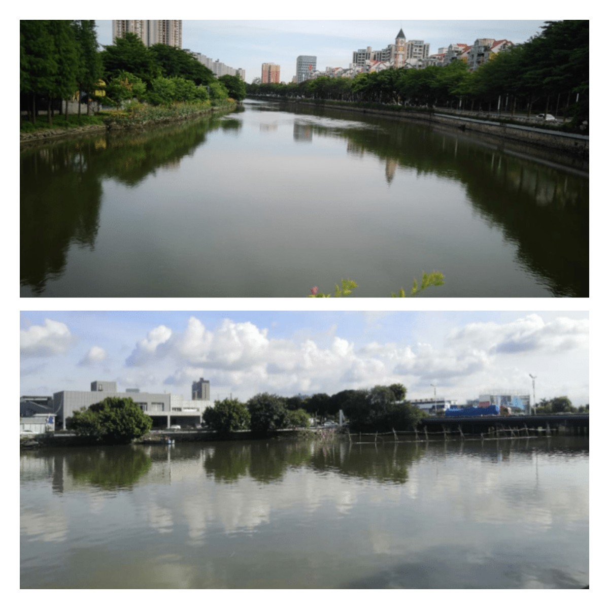稿定設(shè)計(jì)導(dǎo)出-20211229-171922.jpg