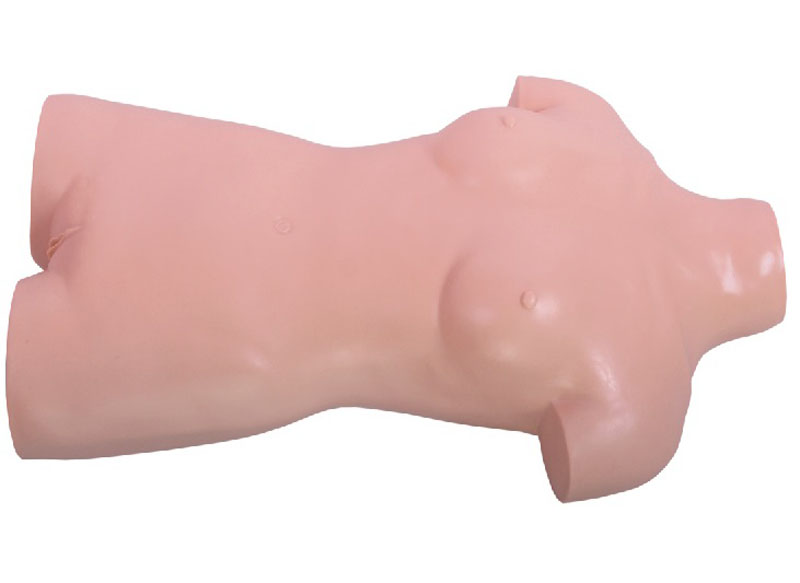 術(shù)前無(wú)菌操作訓練模型.jpg 術(shù)前無(wú)菌操作訓練模型.jpg