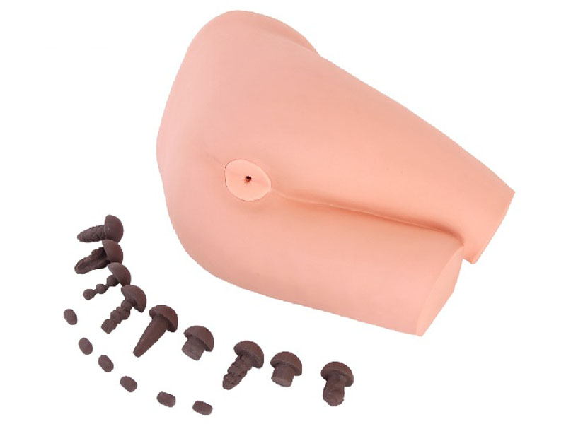 直腸檢查操作模型.jpg 直腸檢查操作模型.jpg