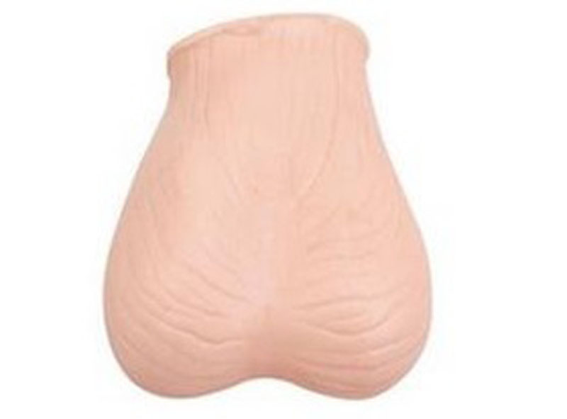 睪丸檢查模型.jpg 睪丸檢查模型.jpg