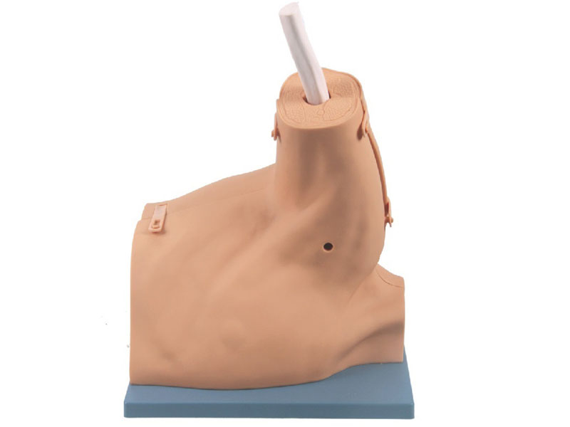 肩關(guān)節鏡檢查模型.jpg 肩關(guān)節鏡檢查模型.jpg