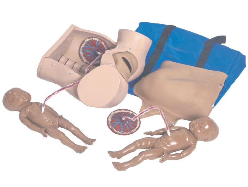 高級分娩綜合技能訓練模型.jpg